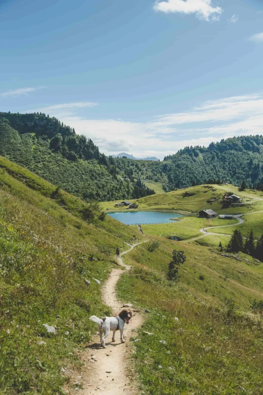 Lakes not to be missed during your stay