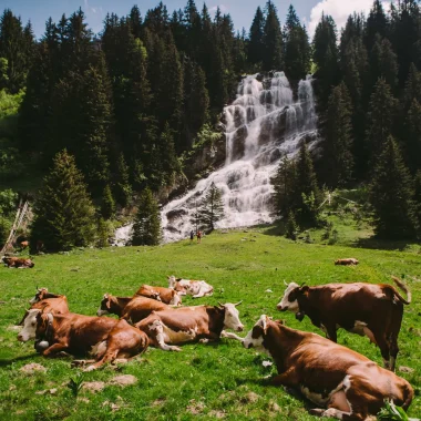 In the fresh air: the most beautiful waterfalls accessible on foot