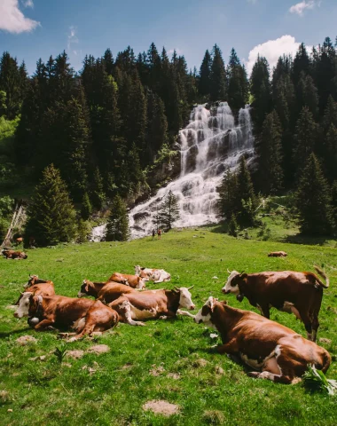 In the fresh air: the most beautiful waterfalls accessible on foot