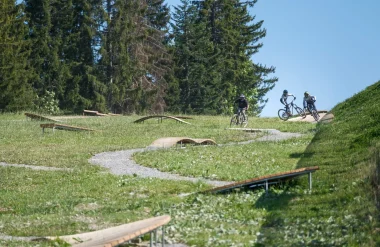 Morzine-Pleney Bike Park: The Gateway to Europe’s Largest Mountain Biking Area