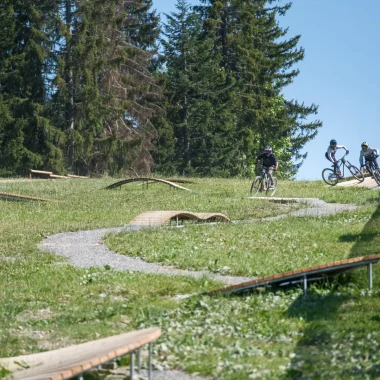 Morzine-Pleney Bike Park: The Gateway to Europe’s Largest Mountain Biking Area