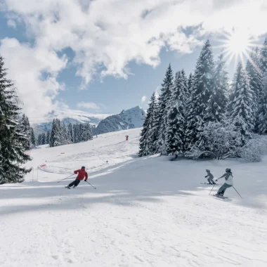Downhill skiing
