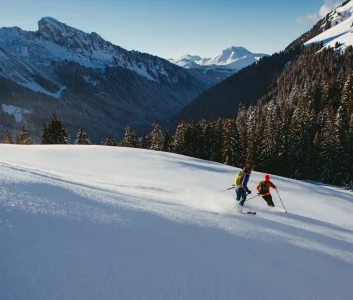 Ski area map Portes du Soleil