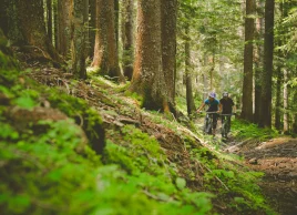 Cimalpes Morzine | Sales & Holiday Rental