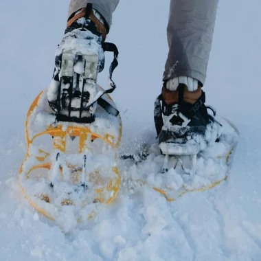 Snowshoeing outings