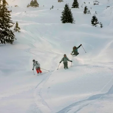 Freeride Skiing