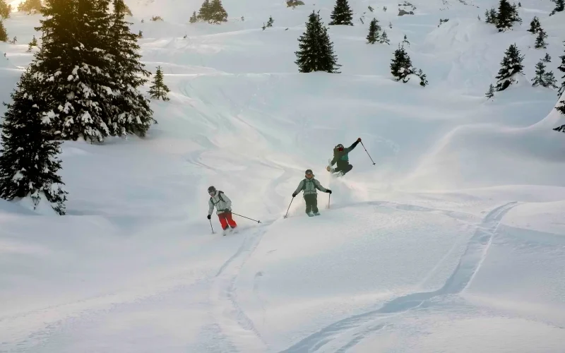 Freeride Skiing