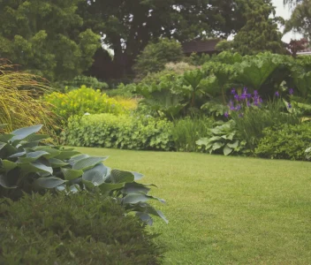 Landscaping & Outdoor