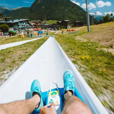 Reasons to try the summer luge