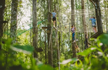 How about going on a high ropes adventure trail?