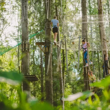 How about going on a high ropes adventure trail?