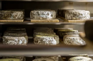 The Cheeses of Our Region