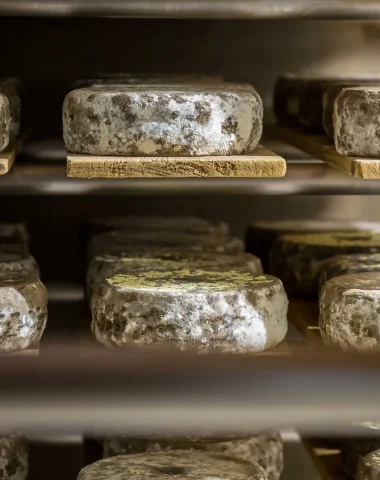 The Cheeses of Our Region